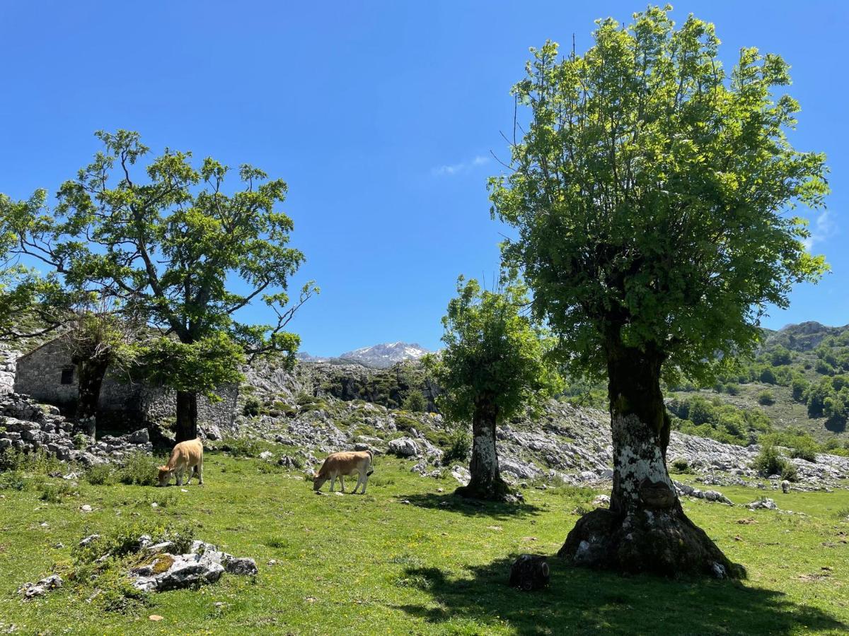 فيلا Mar Y Montana Piloña المظهر الخارجي الصورة